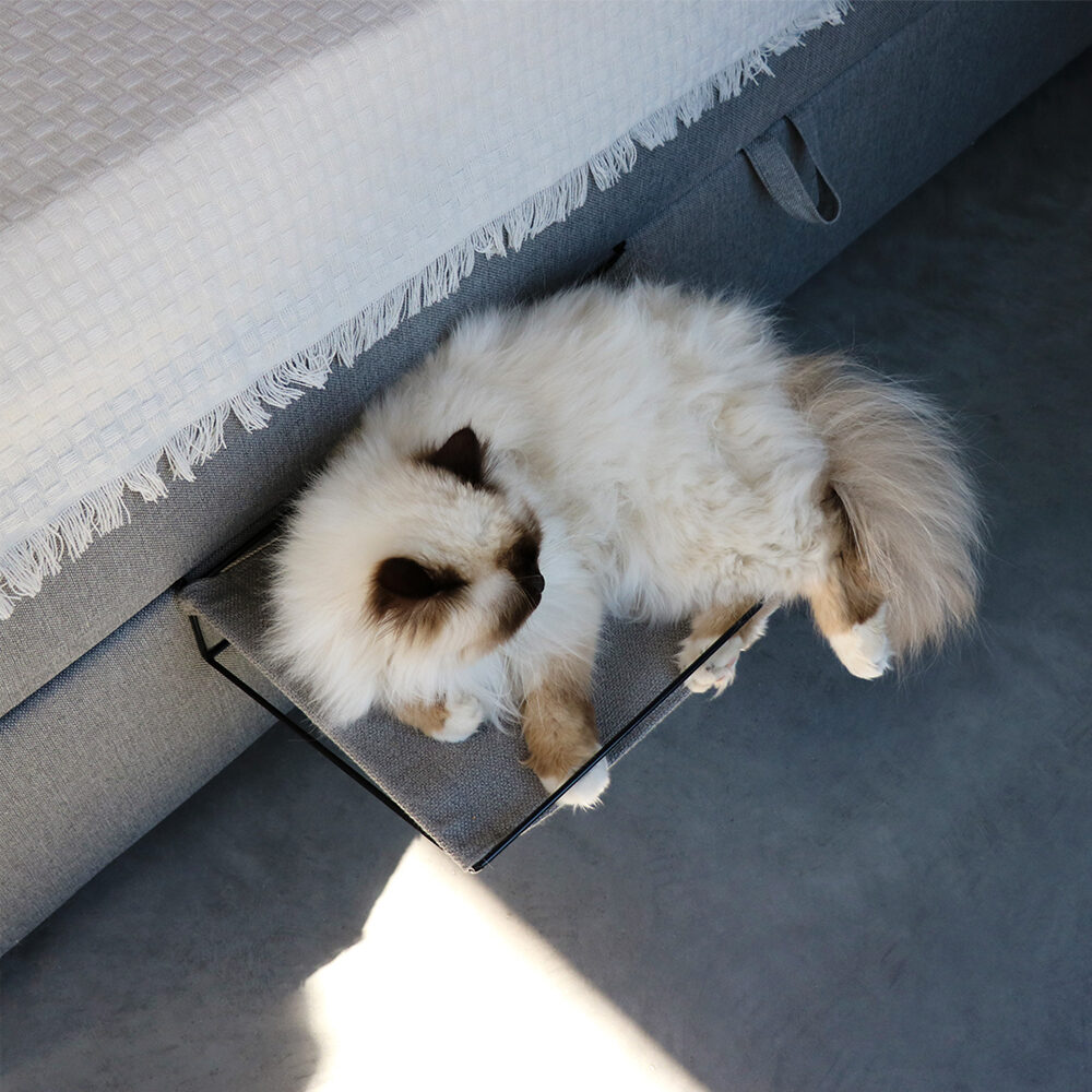 D&D Oliver Bed and Radiator Hammock Cat Order