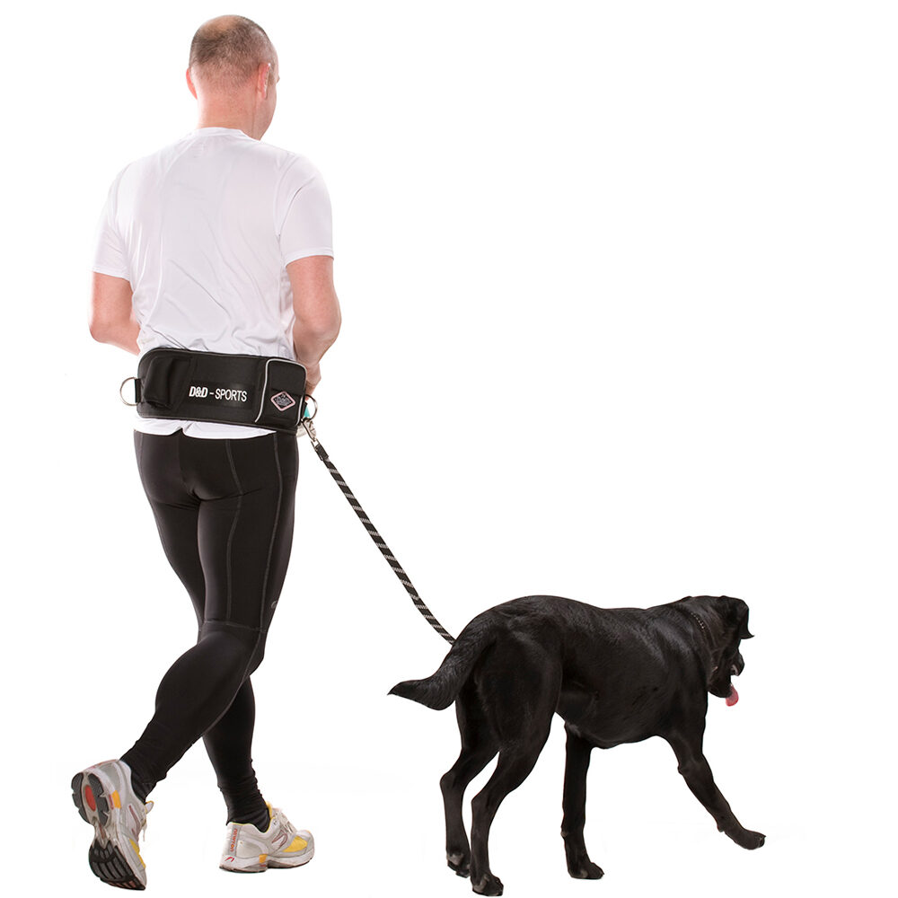 D&D Sports Active Walker