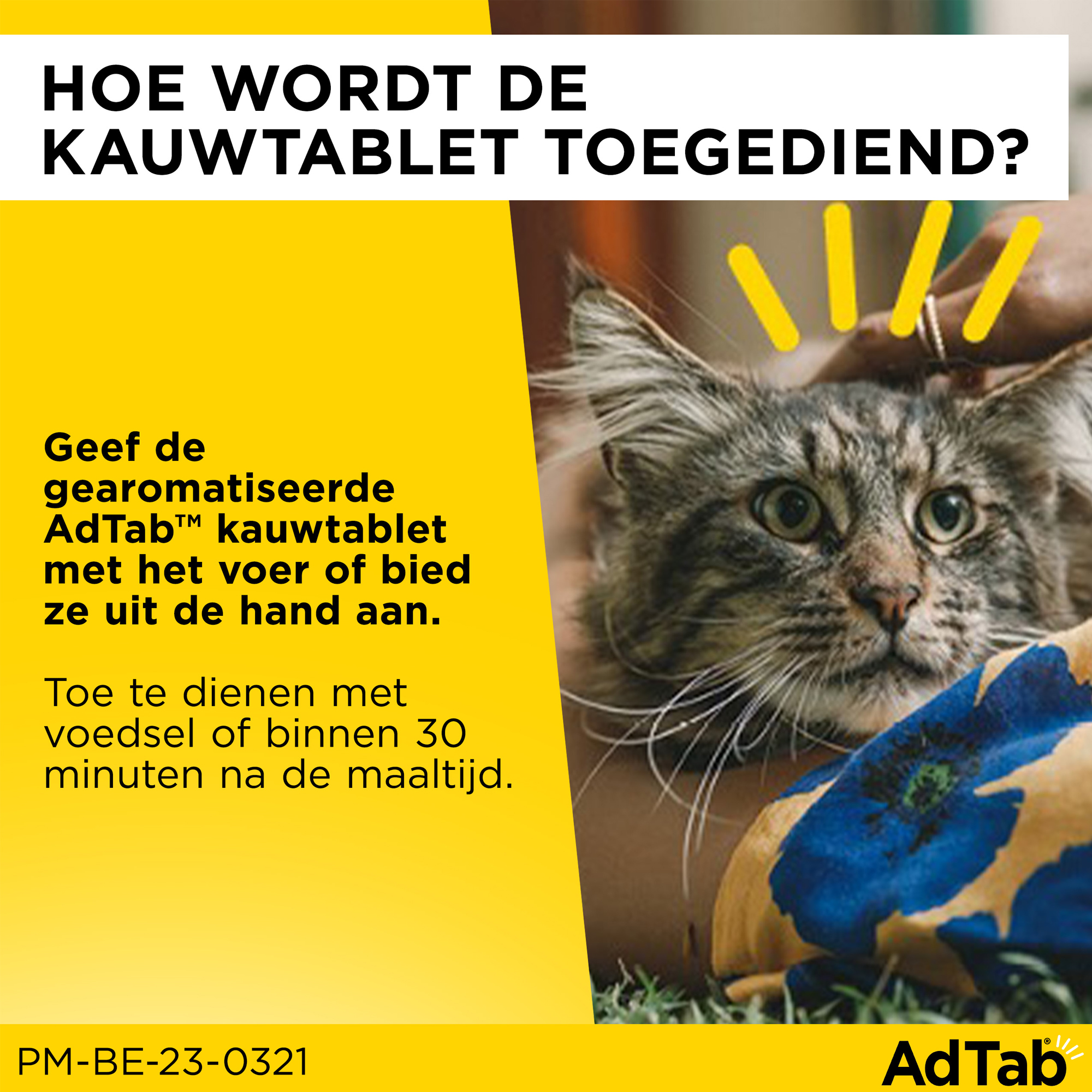 AdTab Kauwtabletten Kat
