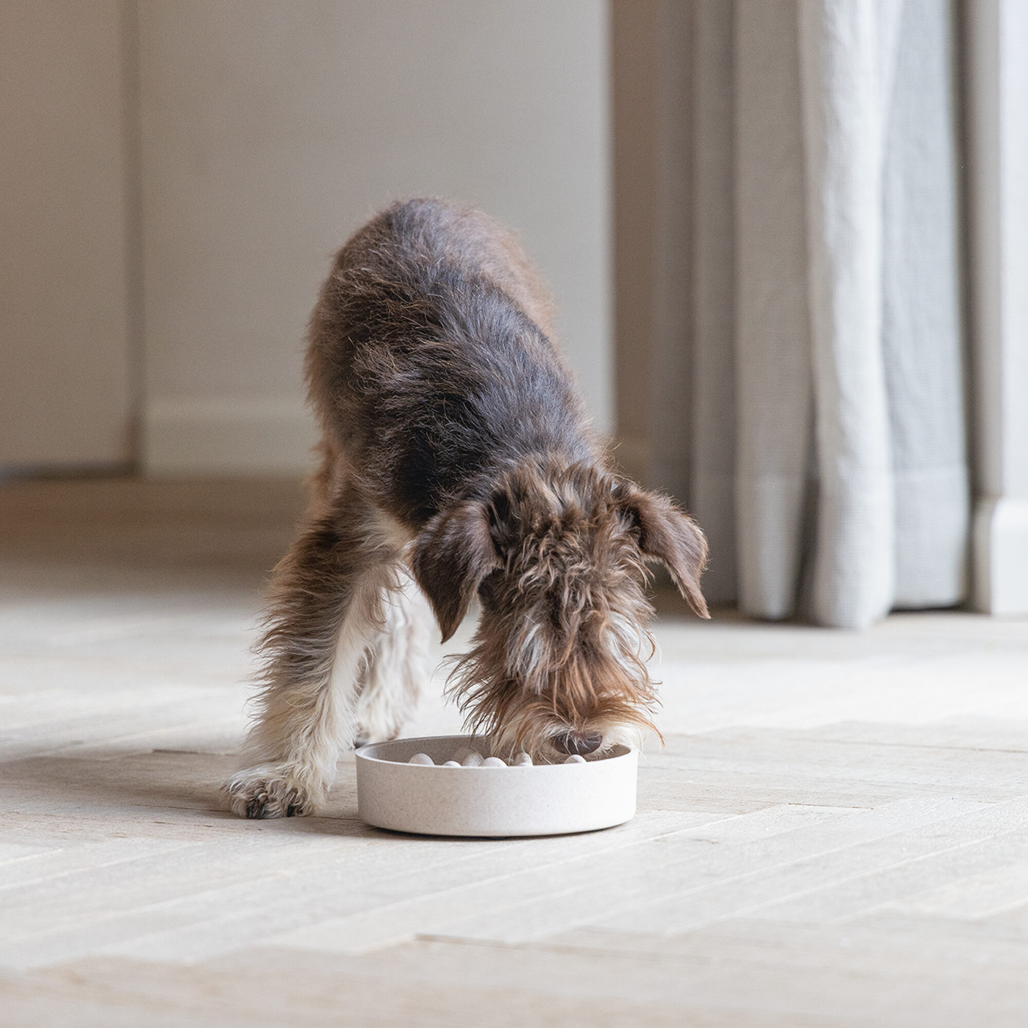 Designed by Lotte Bamboo Anti-Schrokbak Pom - Hond