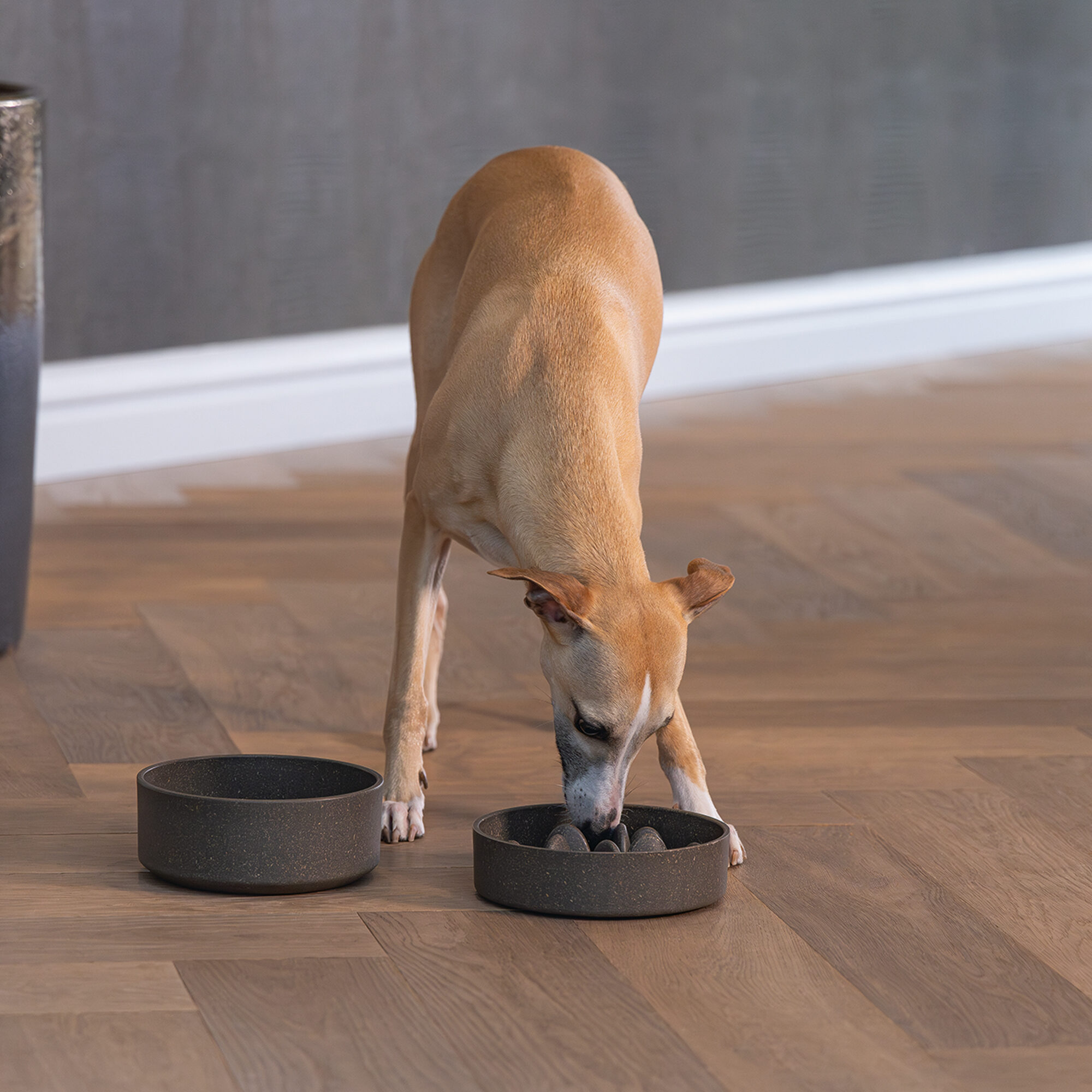 Designed by Lotte Bamboo Anti-Schrokbak Pom - Hond