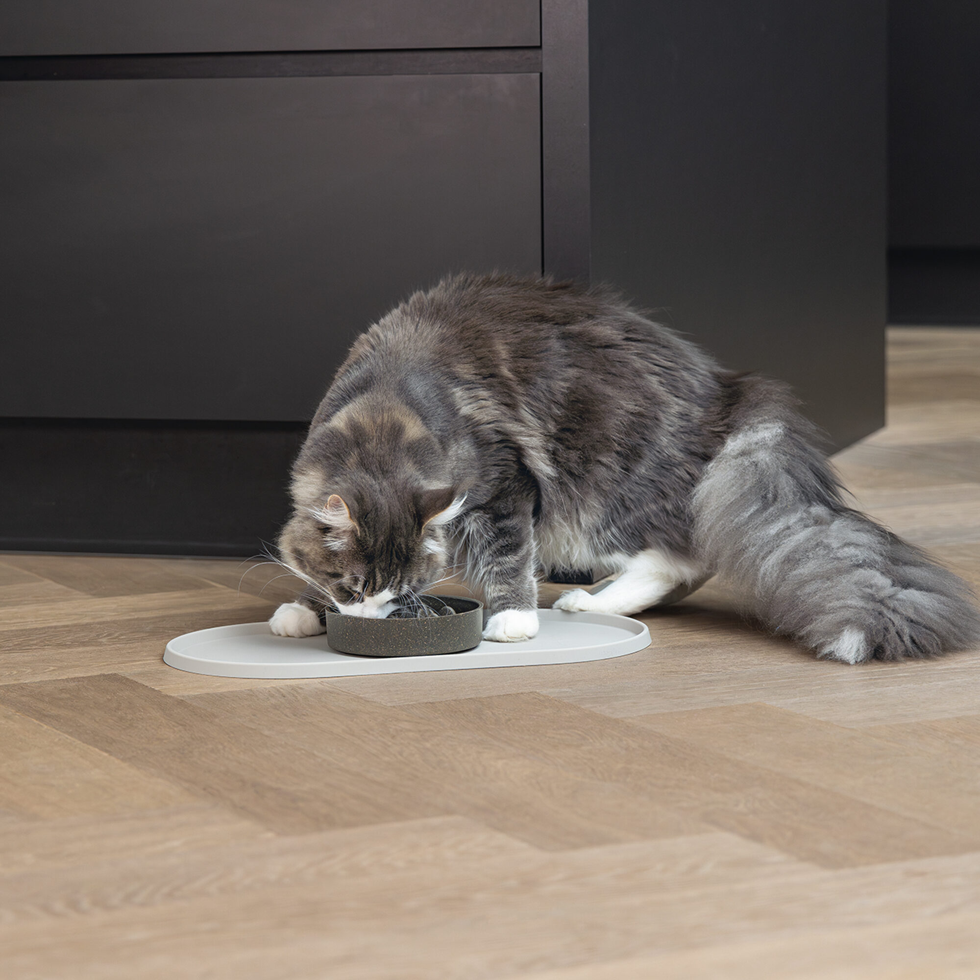 Designed by Lotte Bambus Anti-Snatching Schssel Pom - Katze