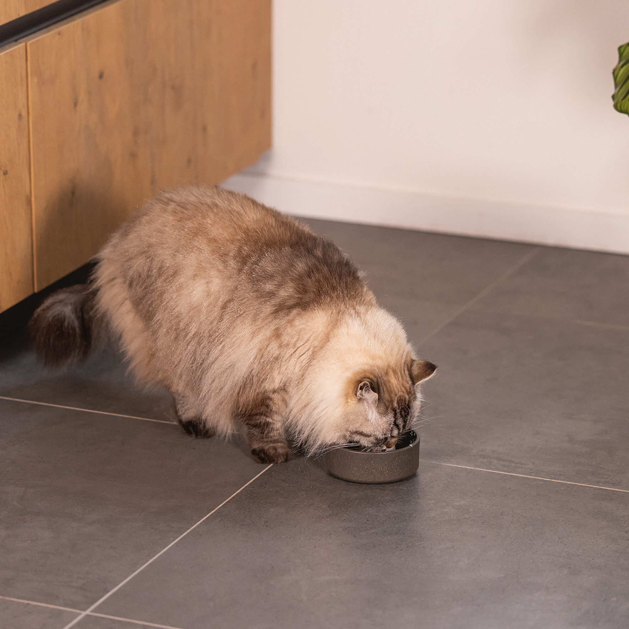 Designed by Lotte Bamboo Food Tray Noor - Cat