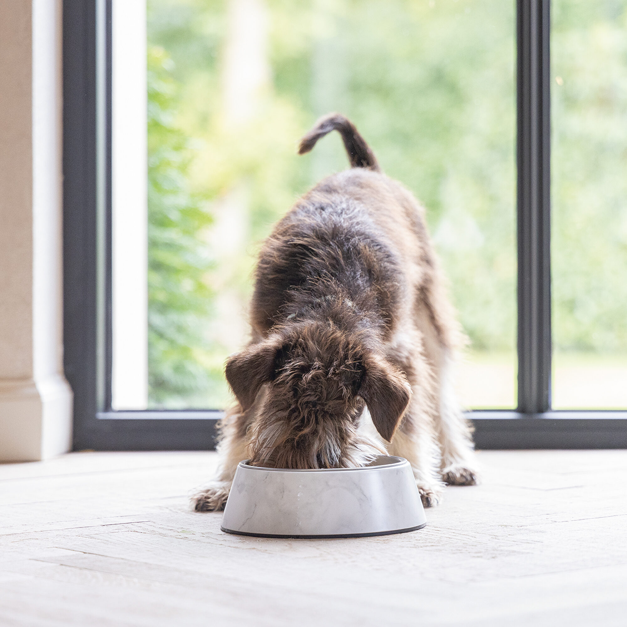 Designed by Lotte Dog Food Bowl Meis