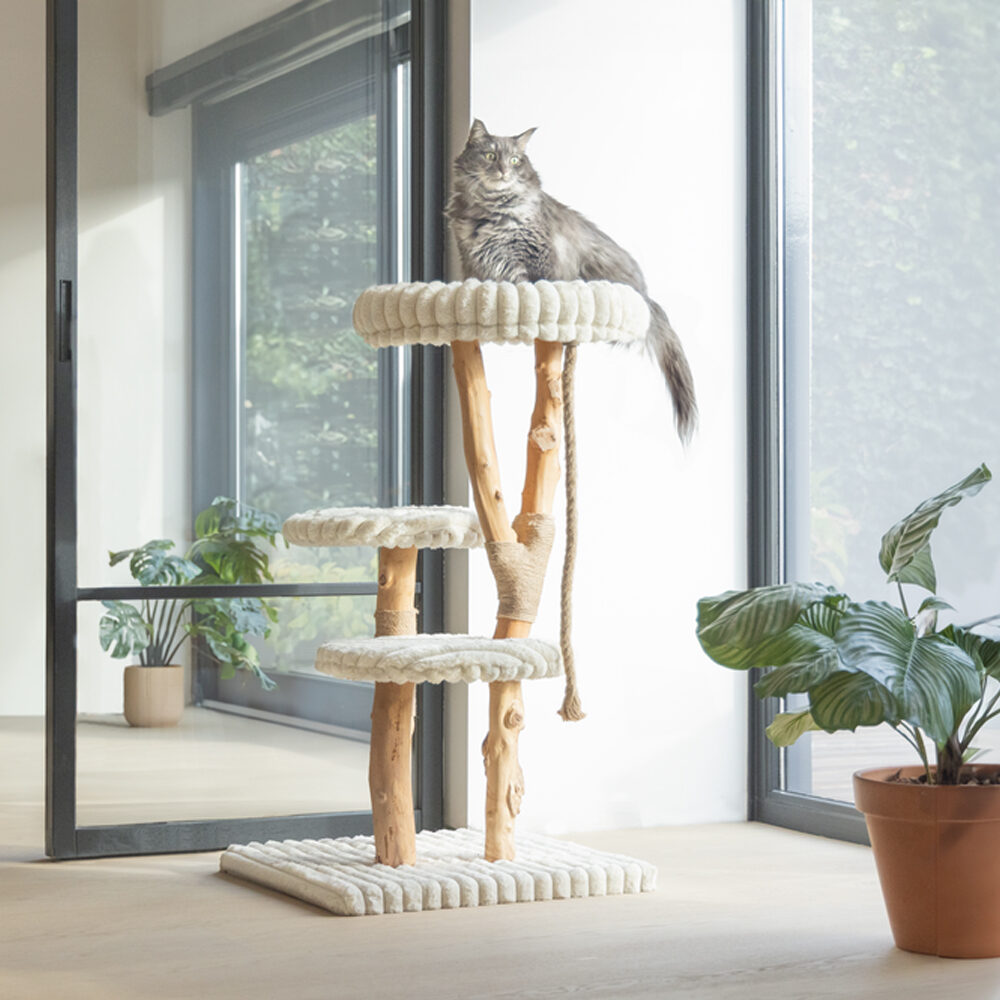 Designed by Lotte Kratzbaum Raja | Katze | Medpets.at