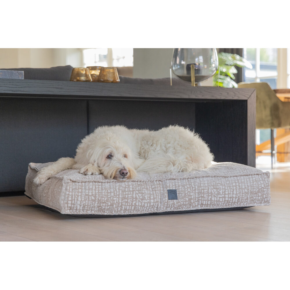 Designed by Lotte Maze Essence Orthopaedic Dog Cushion