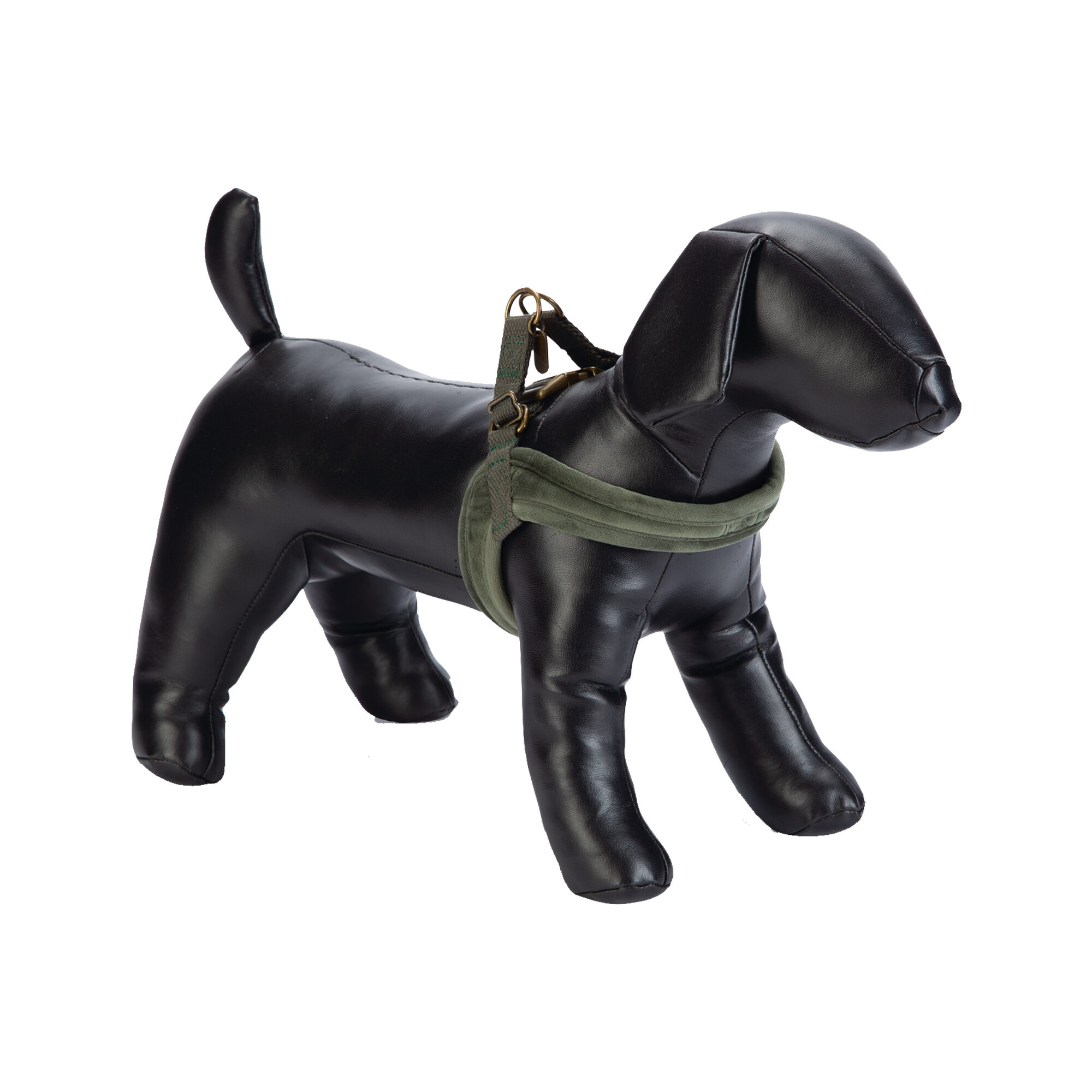 Designed by Lotte Velura - Harnais pour Chiens - Vert - M - 20 mm x 58 cm