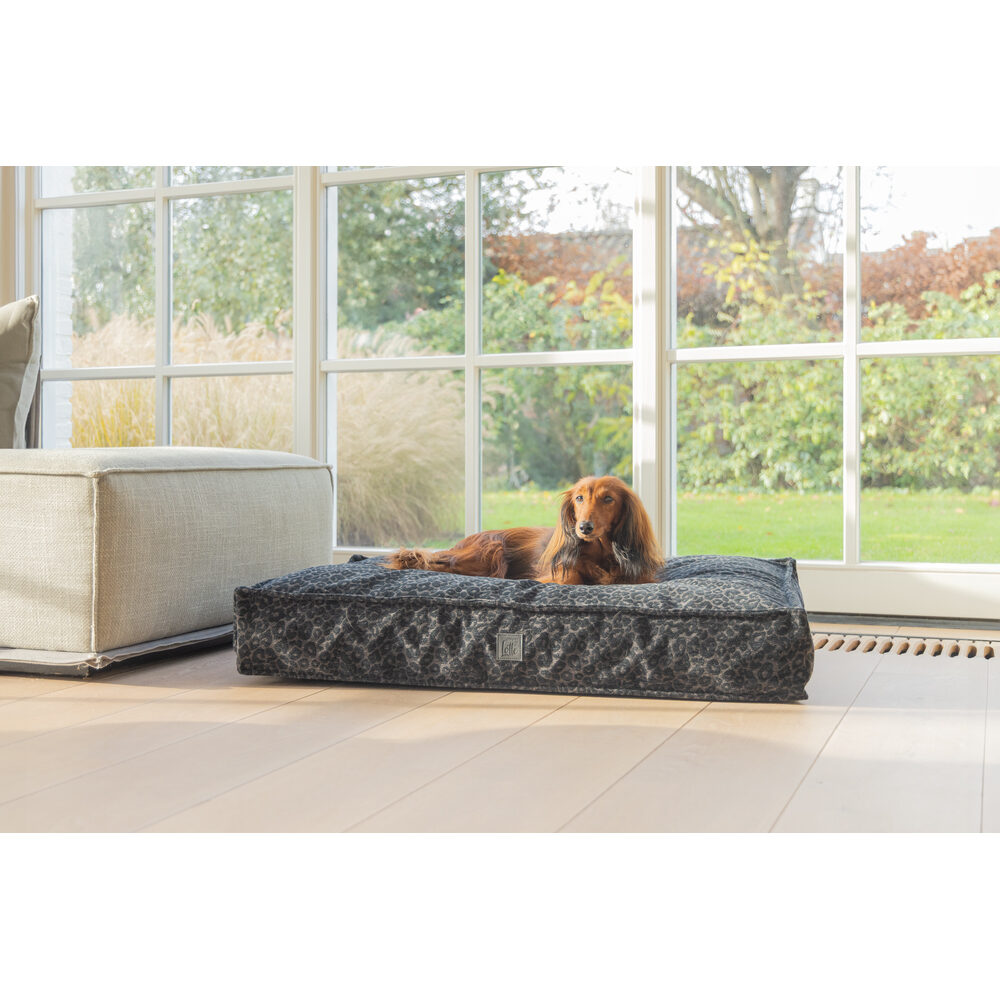 Designed by Lotte Wild Essence Orthopaedic Dog Cushion