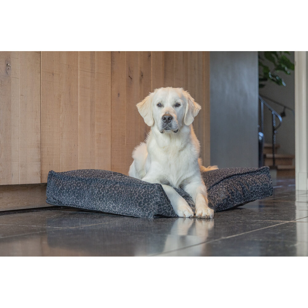 Designed by Lotte Wild Essence Orthopaedic Dog Cushion