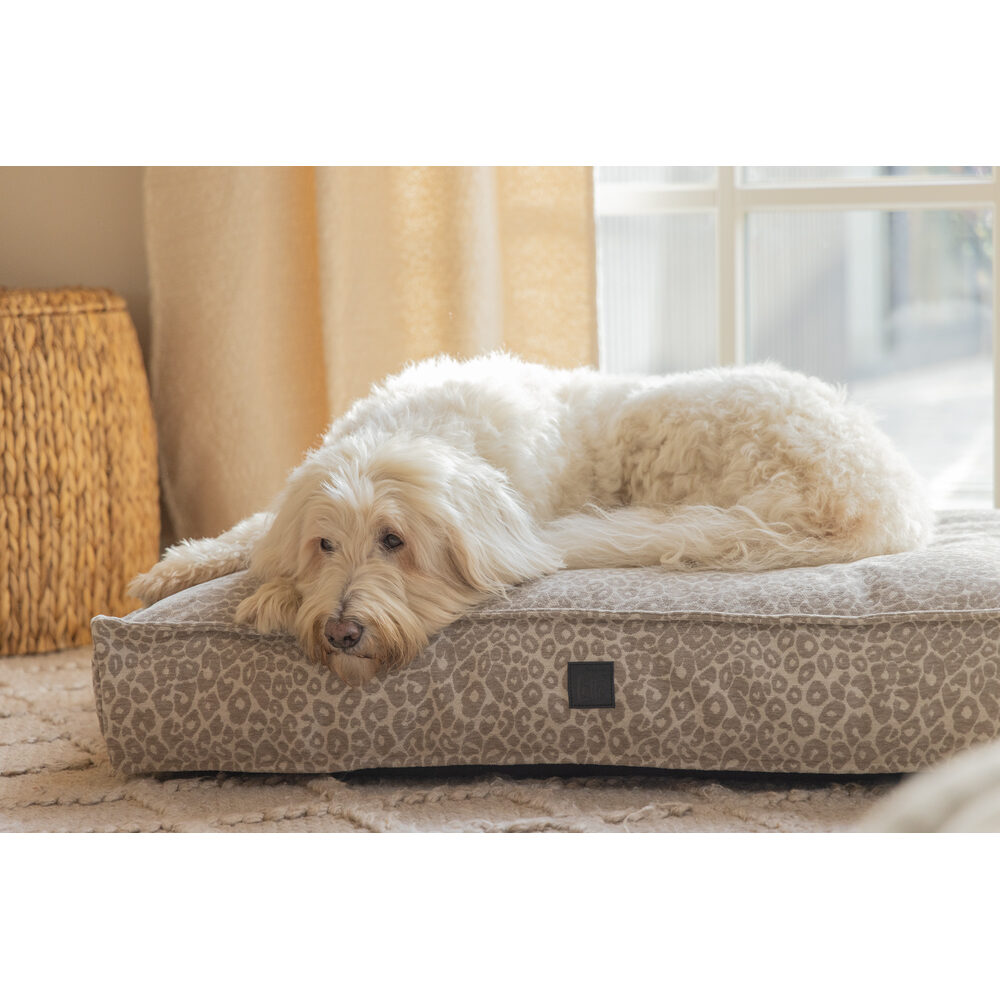 Designed by Lotte Wild Essence Orthopaedic Dog Cushion
