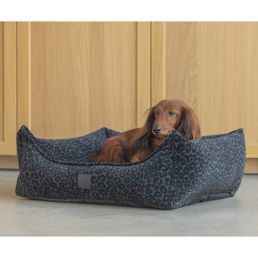 Designed by Lotte Wild Essence Orthopaedic Dog Bed