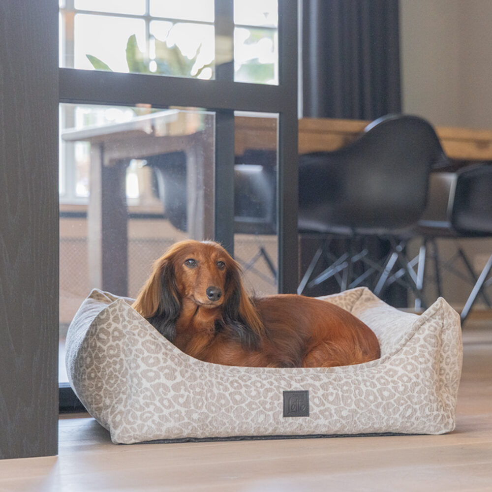 Designed by Lotte Wild Essence Orthopdisches Hundebett