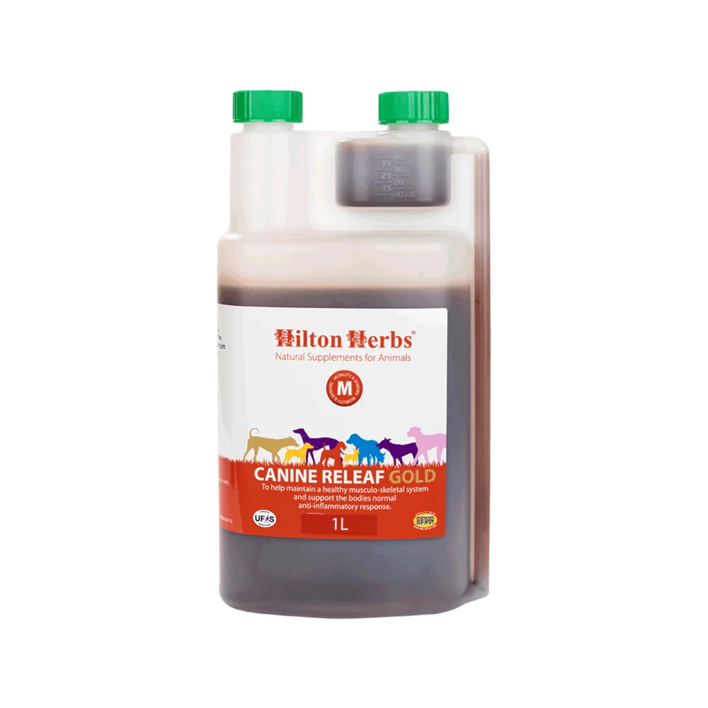 Hilton Herbs Releaf Gold pour Chiens