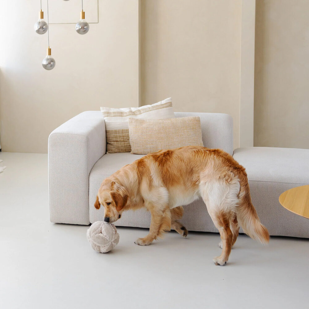 District 70 Bobby Snuffle Ball