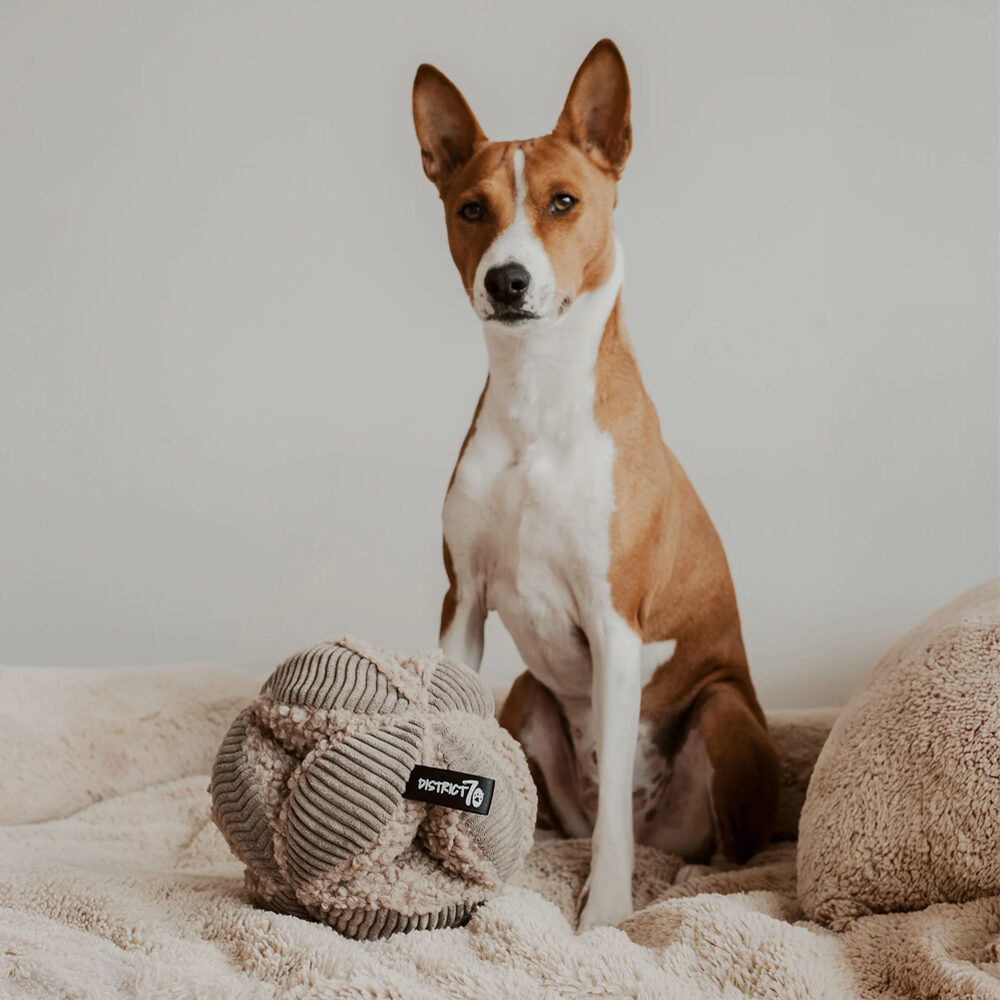 District 70 Bobby Snuffle Ball