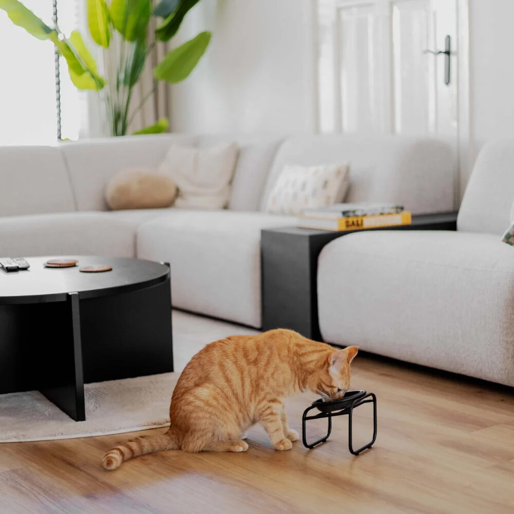 District 70 Butler Single Support de Gamelle