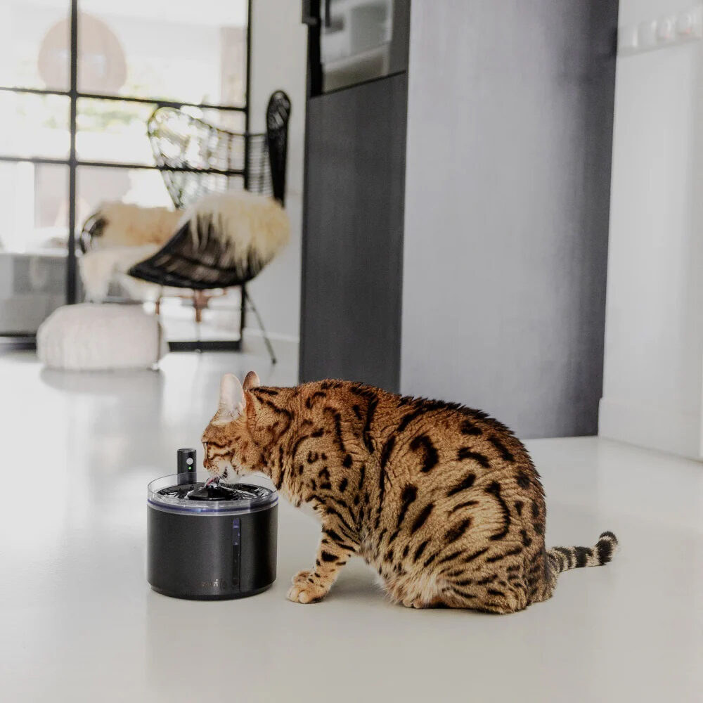 District 70 Flow Wireless Drinking Fountain