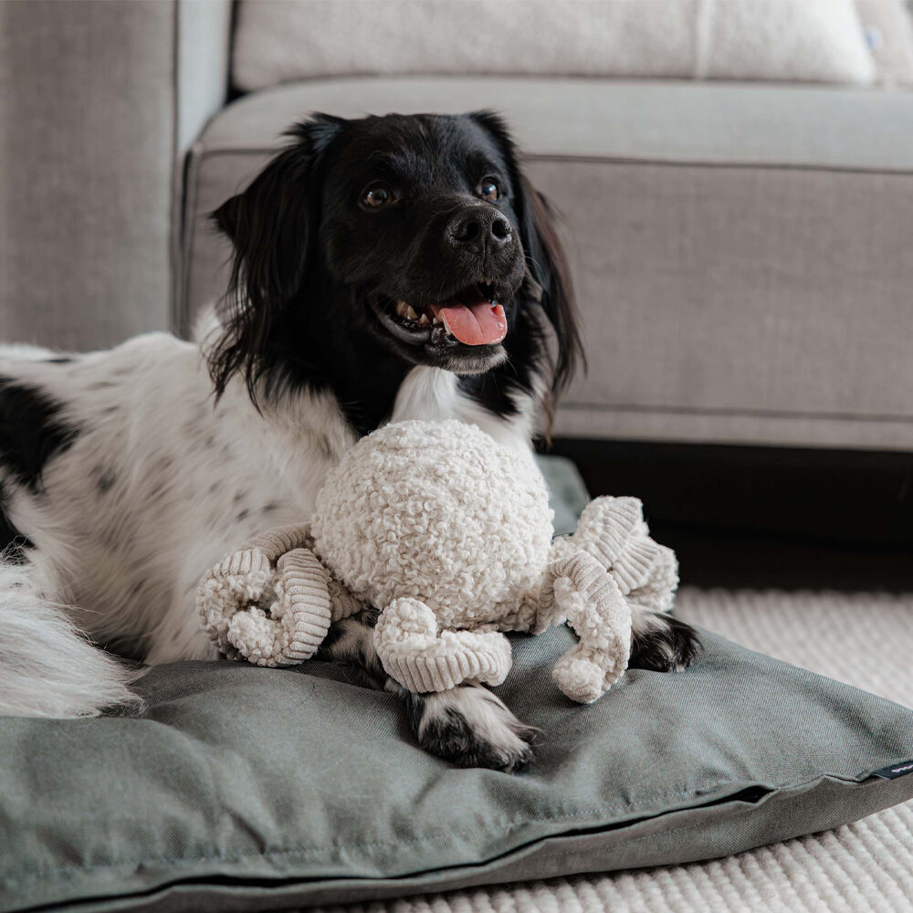 District 70 Squid Plush