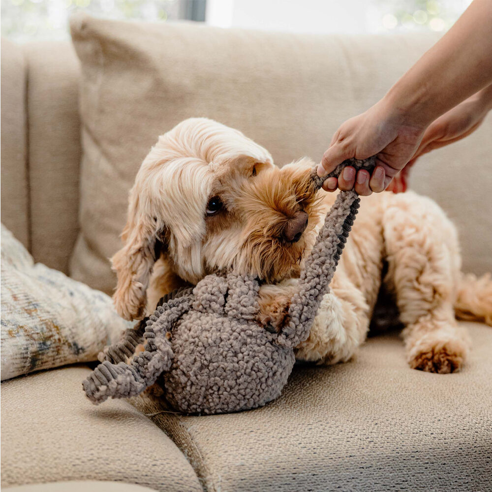 District 70 Squid Plush