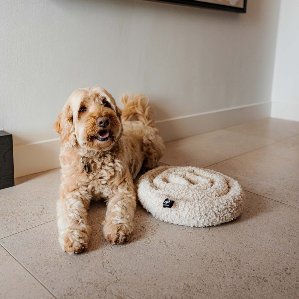 District 70 Swirl Snuffle Mat