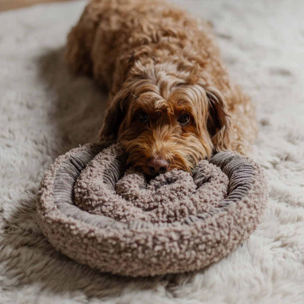 District 70 Swirl Snuffle Mat