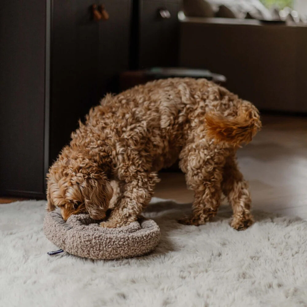 District 70 Swirl Snuffle Mat