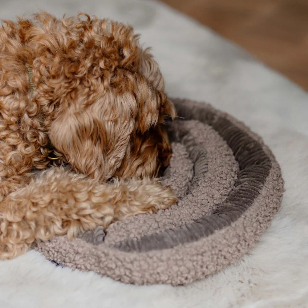 District 70 Swirl Snuffle Mat