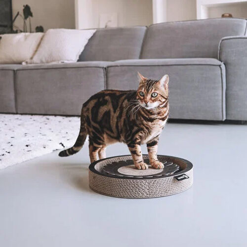 District 70 Bloom s=Scratching Furniture