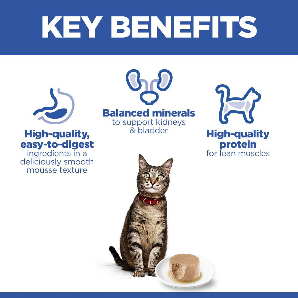 Hill's Science Plan Feline Adult Premium Mousse - Salmon