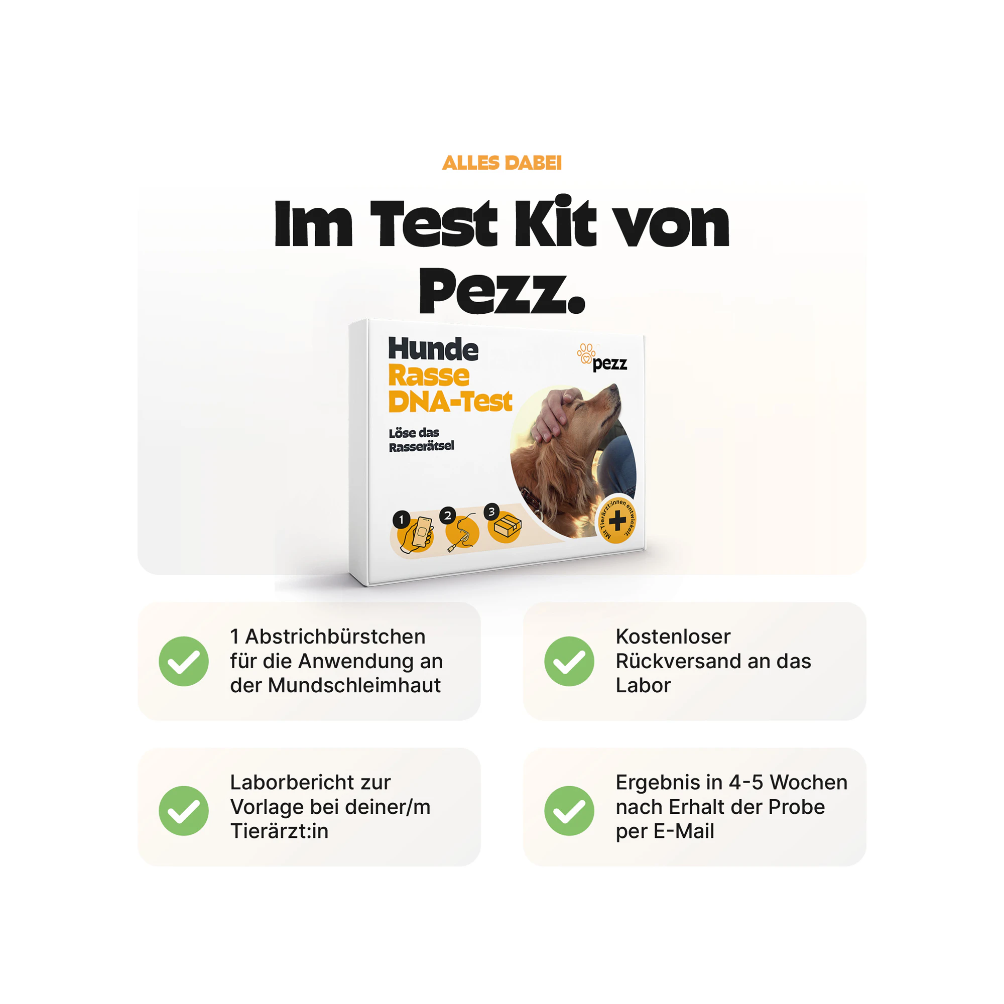 Pezz DNA Rassetest Hund
