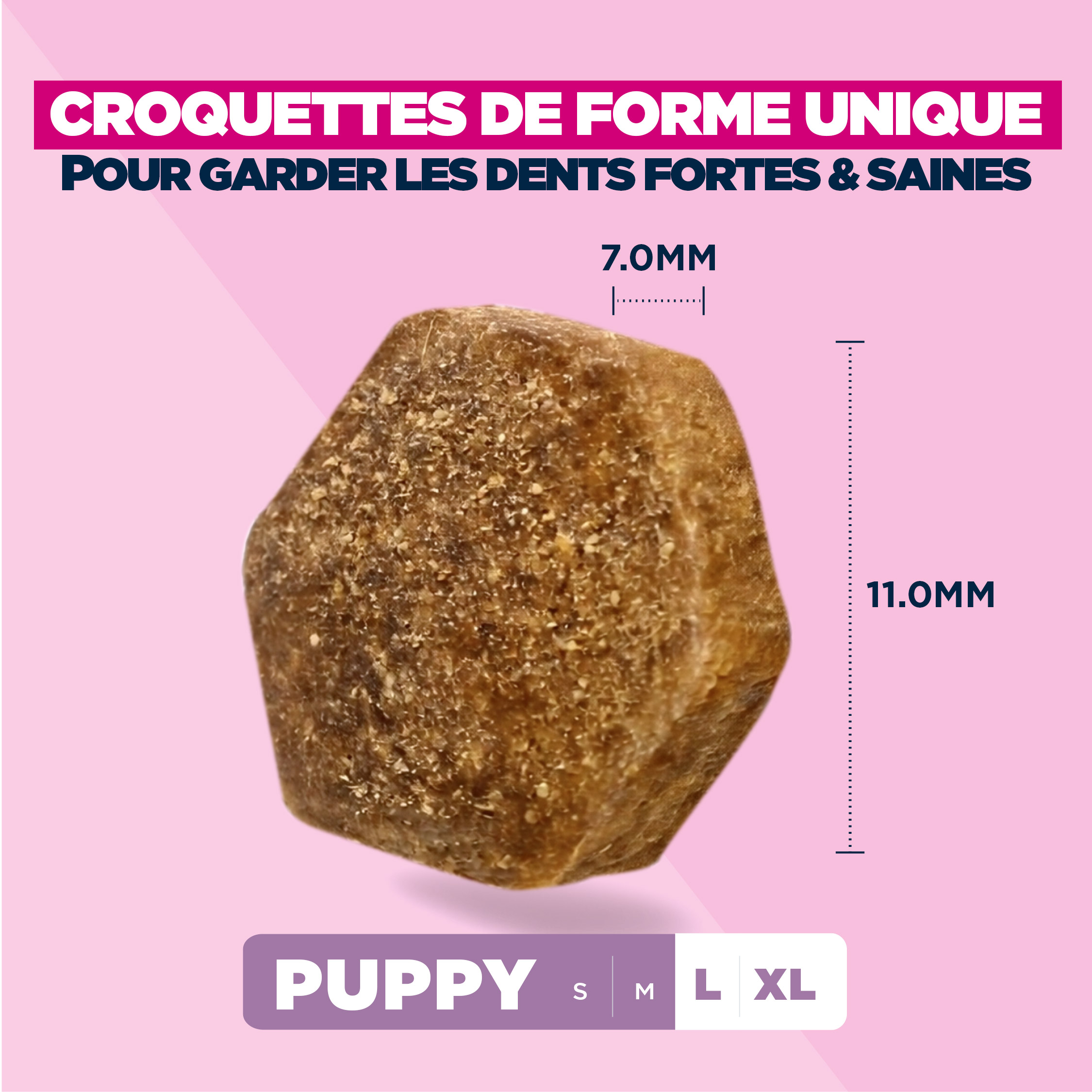 Eukanuba Dog - Life Care Puppy - Large Breed