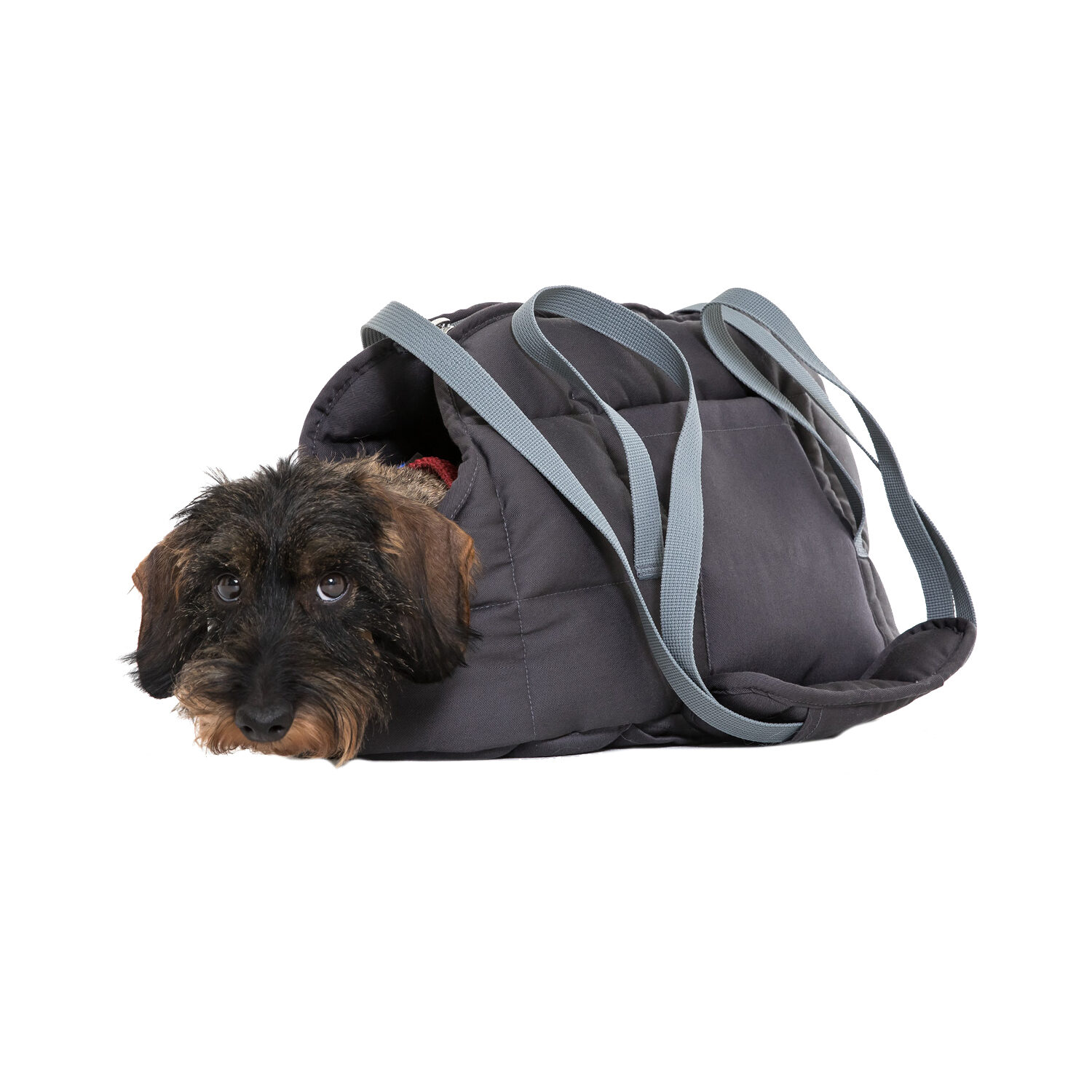Cama Ortopédica Redonda Para Perros Verde Musgo – Lavable A 95°C