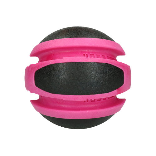 Dog Comets Planets - Earth, Jupiter & Sun