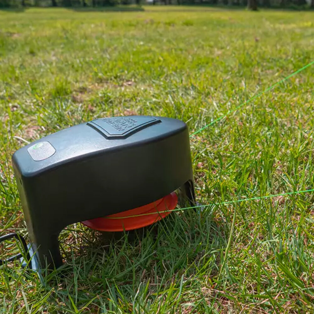 Dog Comets Star Chaser