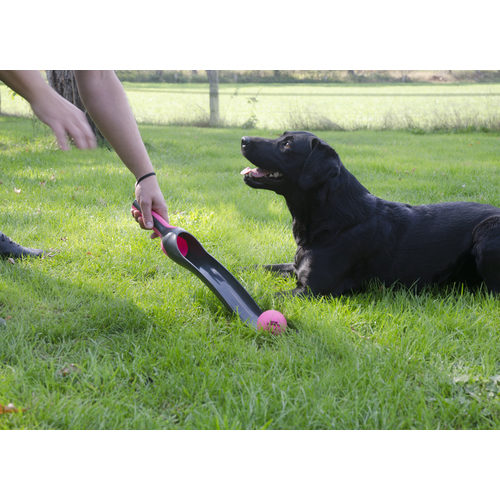 Dog Comets Star Shooter
