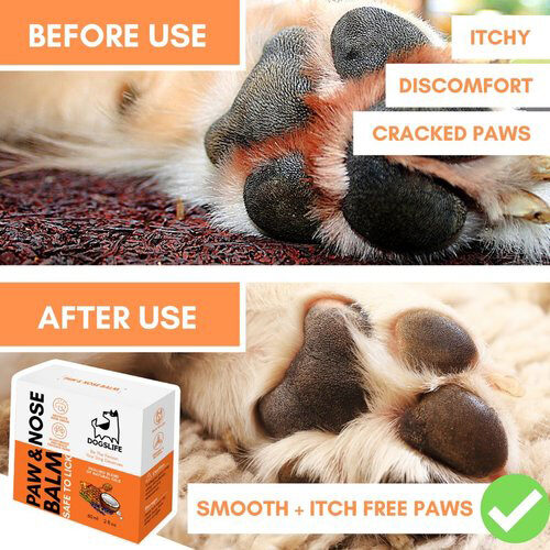 Dogslife Paw & Nose Balm