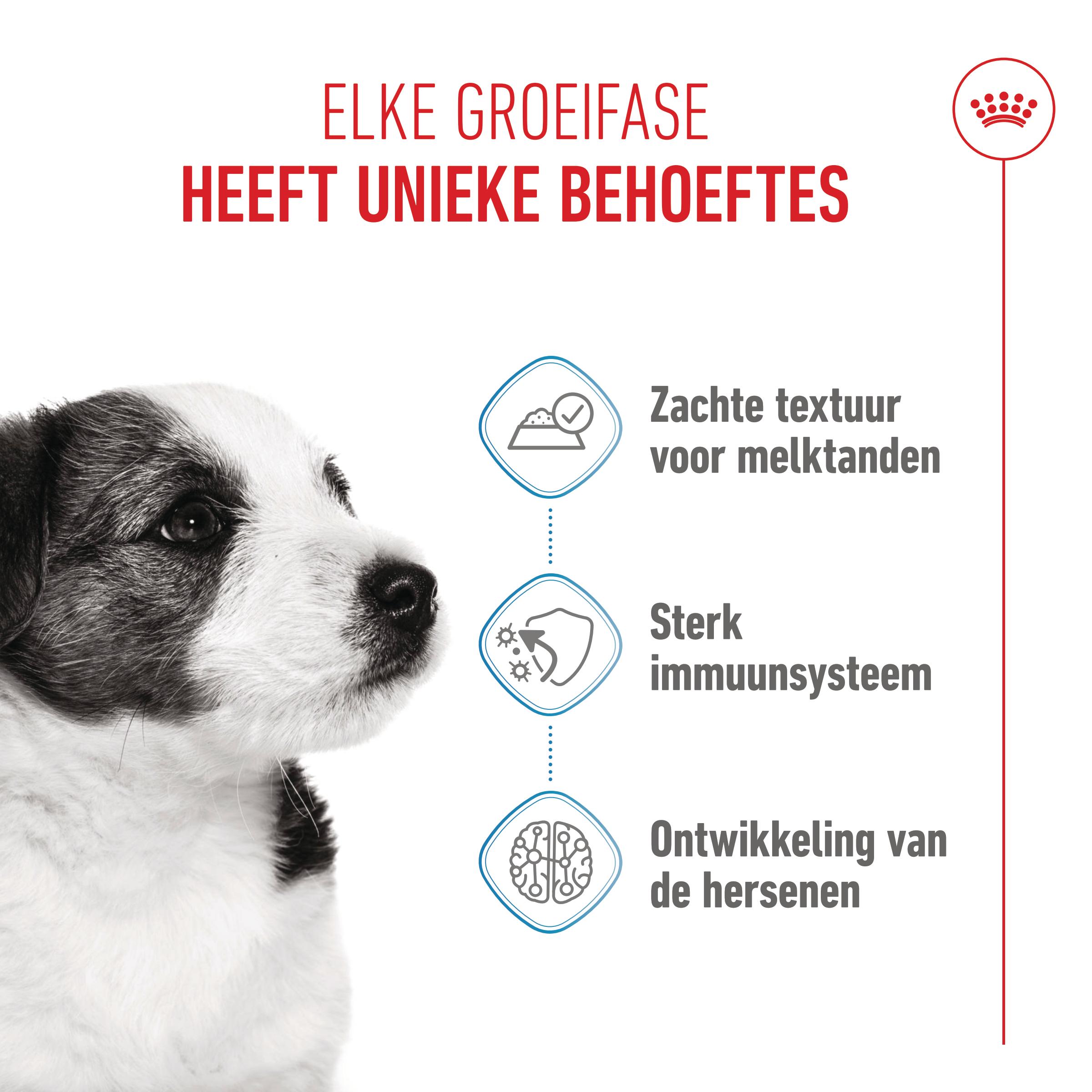 Royal Canin Mini Puppy Wet - Hondenvoer