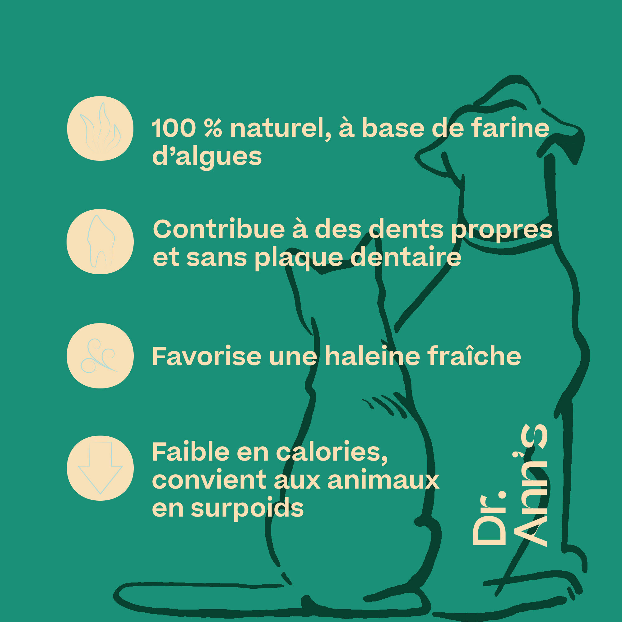 Dr. Ann's Dental Care