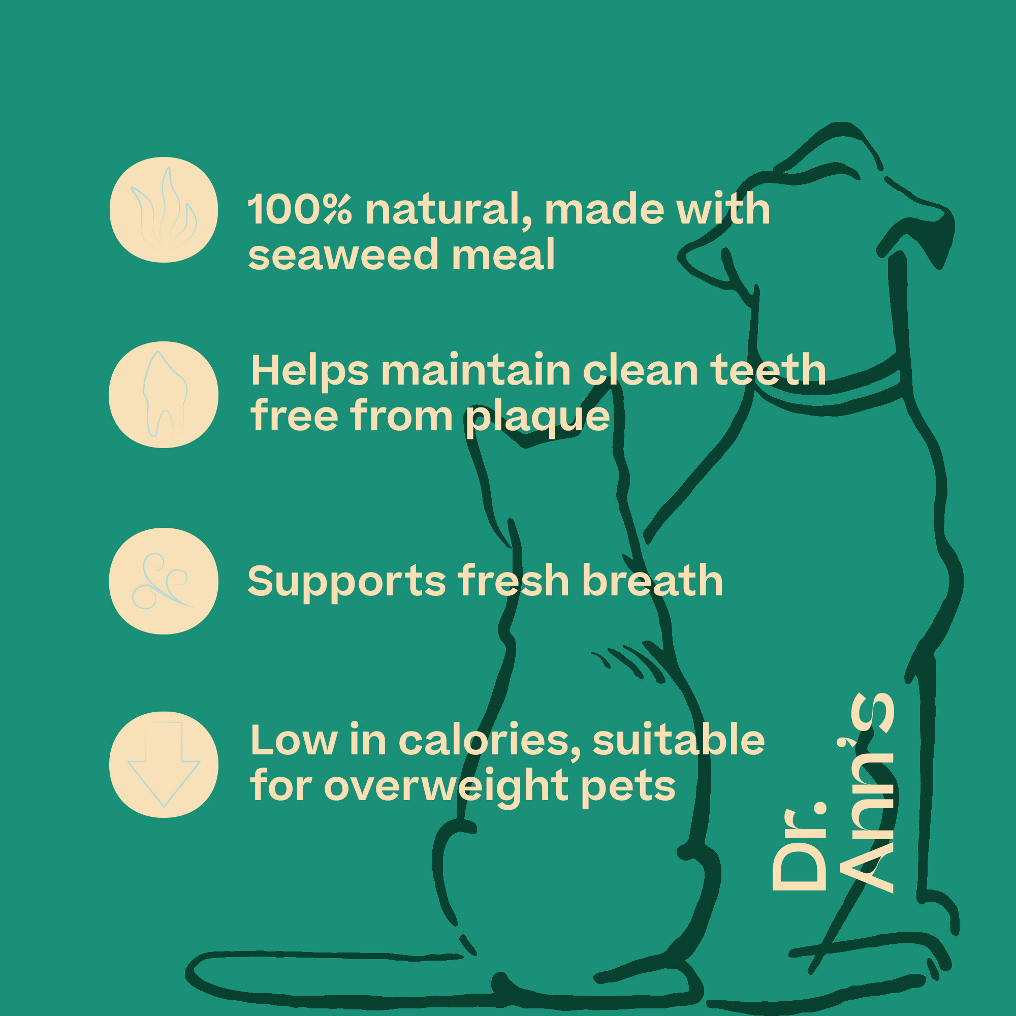 Dr. Ann's Dental Care