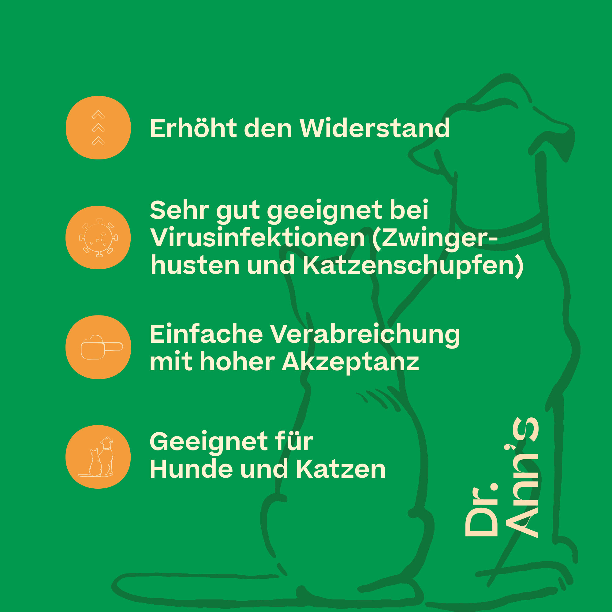 Dr. Ann’s L-Lysine – 2 x 50 g