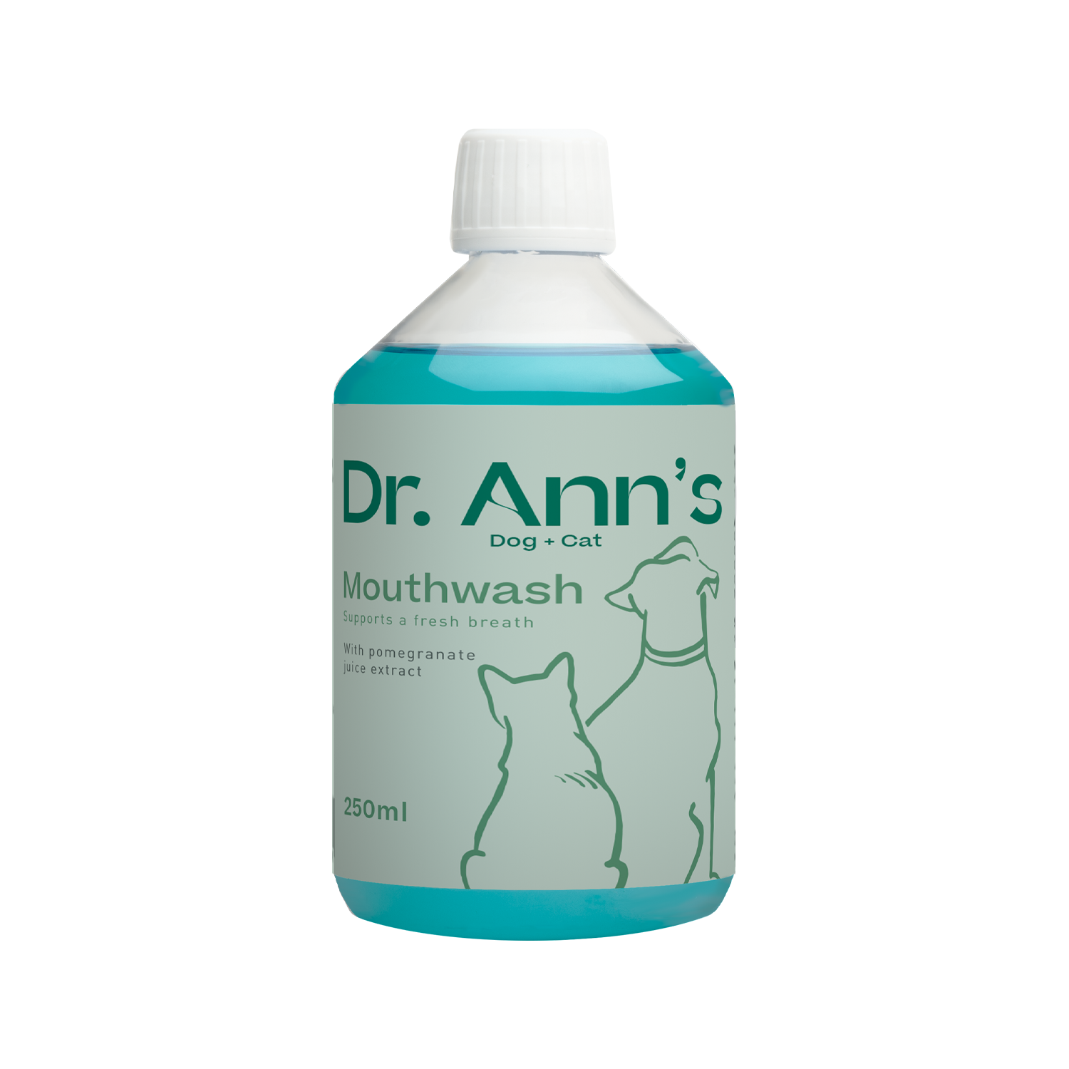 Dr. Ann's Mondwater
