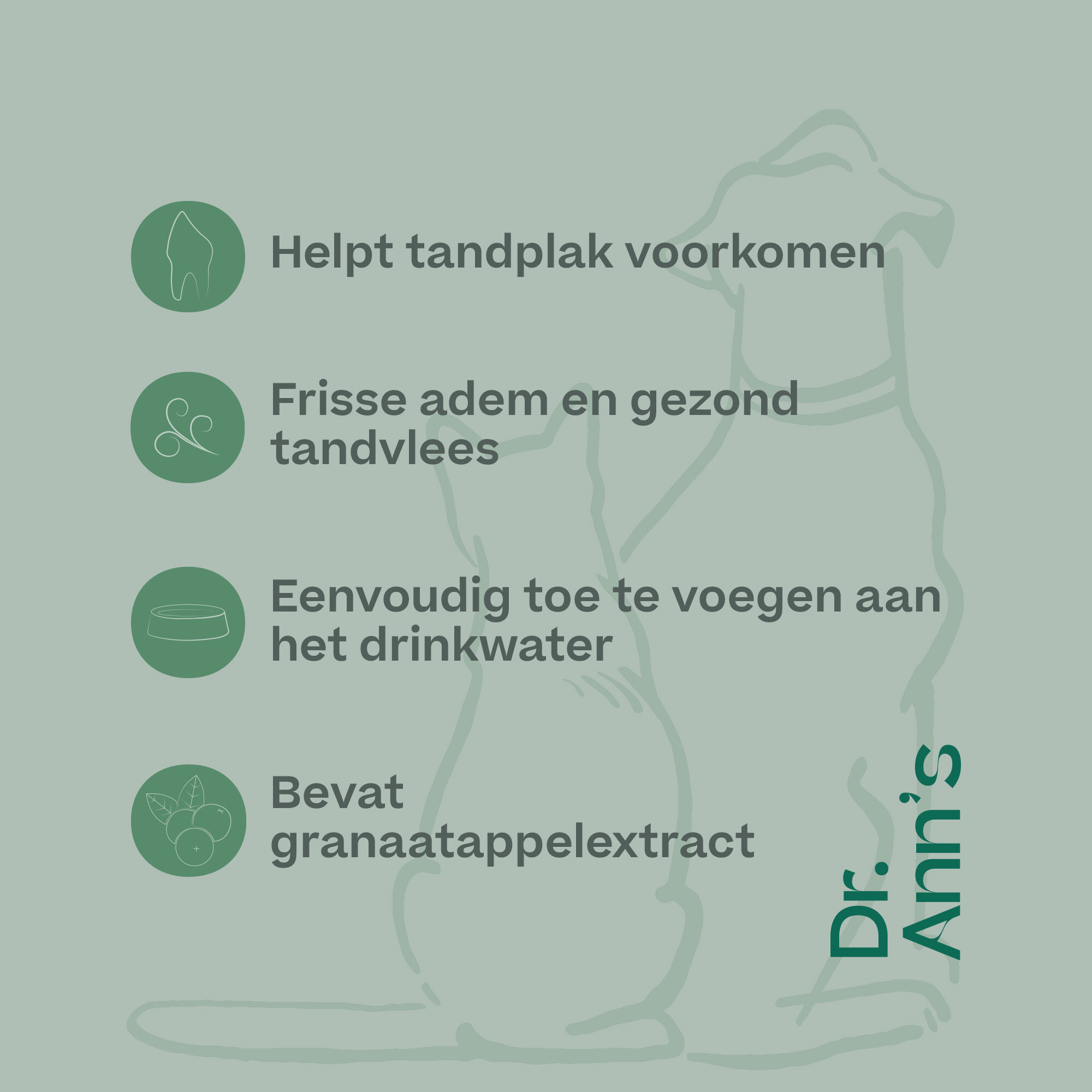 Dr. Ann's Mondwater