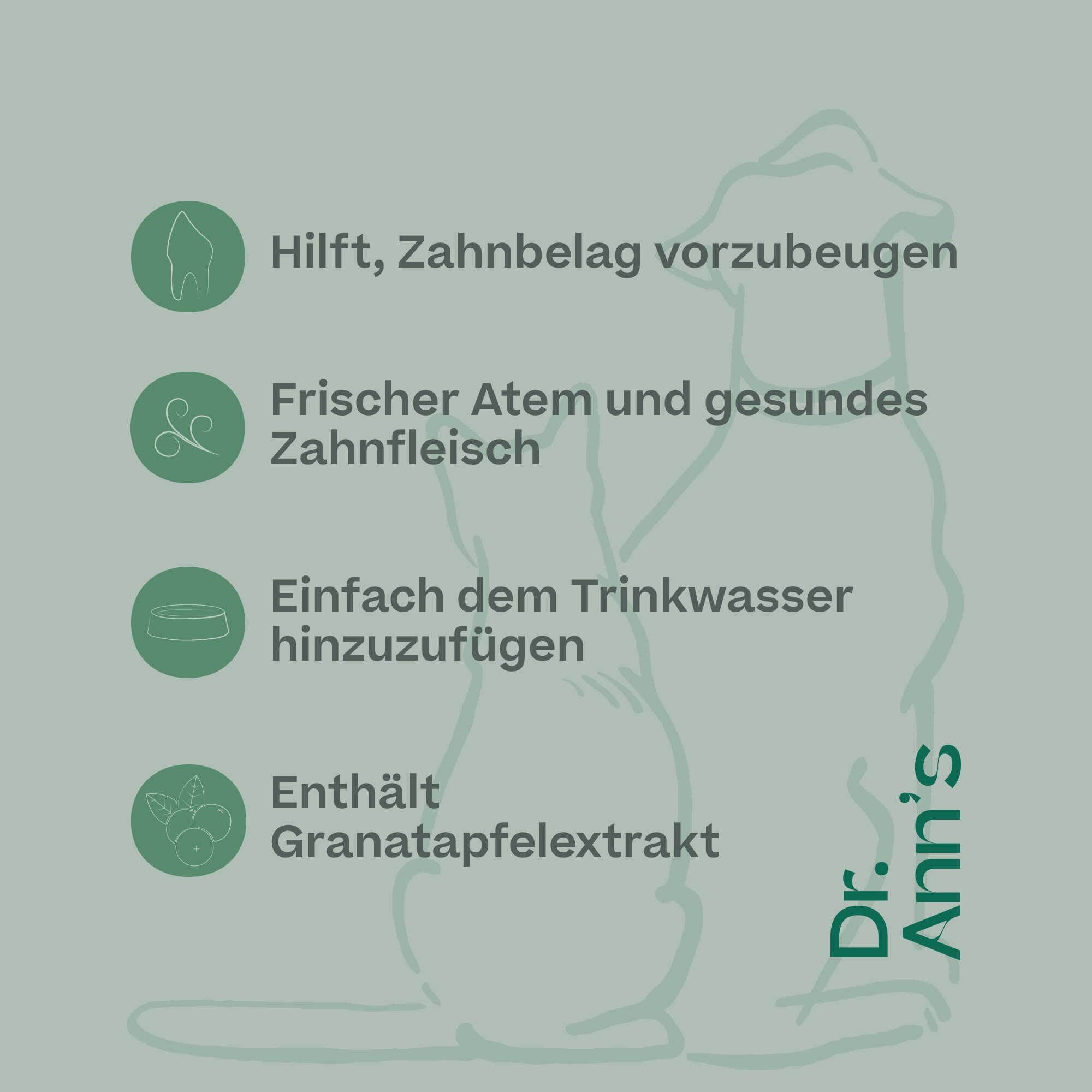 Dr. Ann's Mundwasser