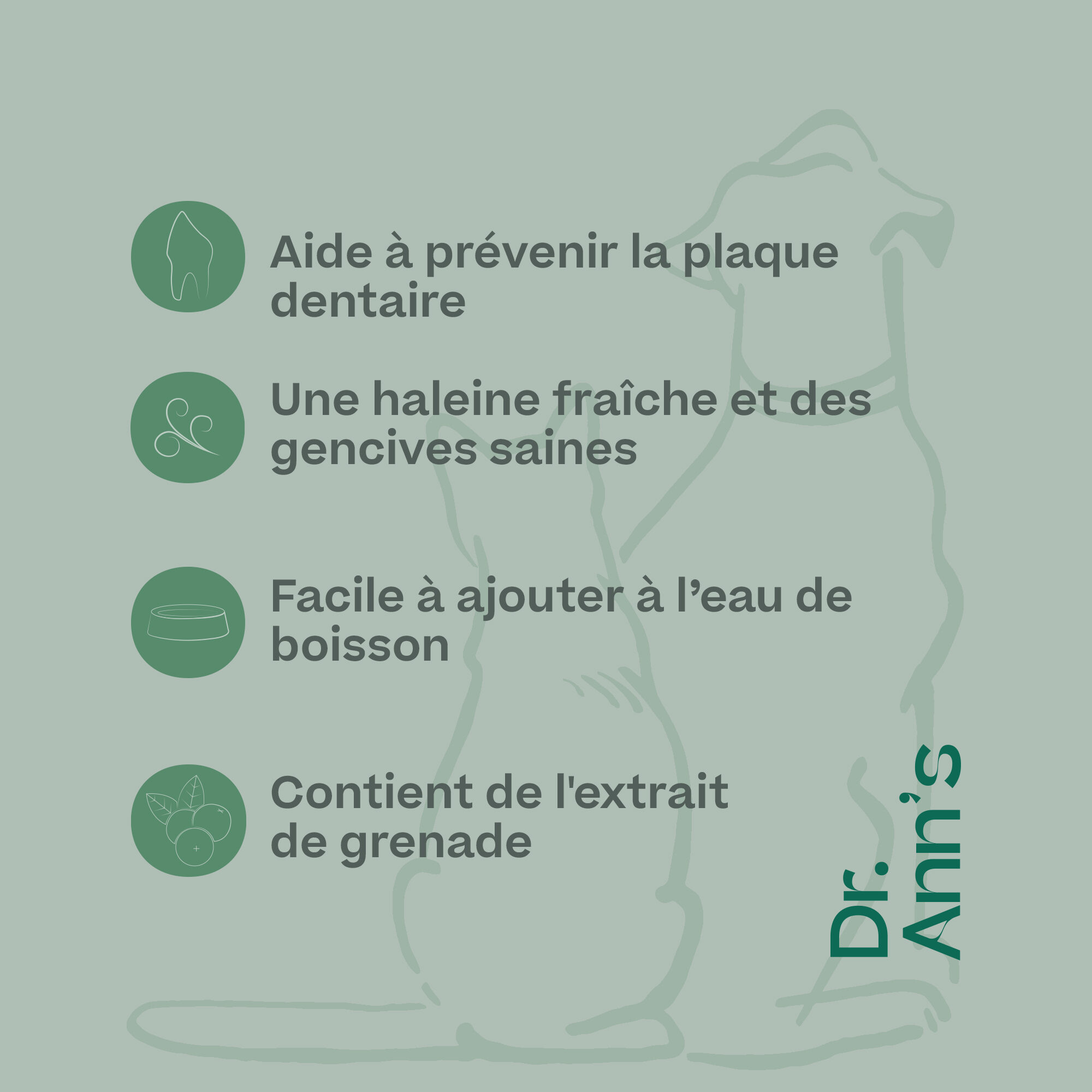 Dr. Ann's Bain de bouche