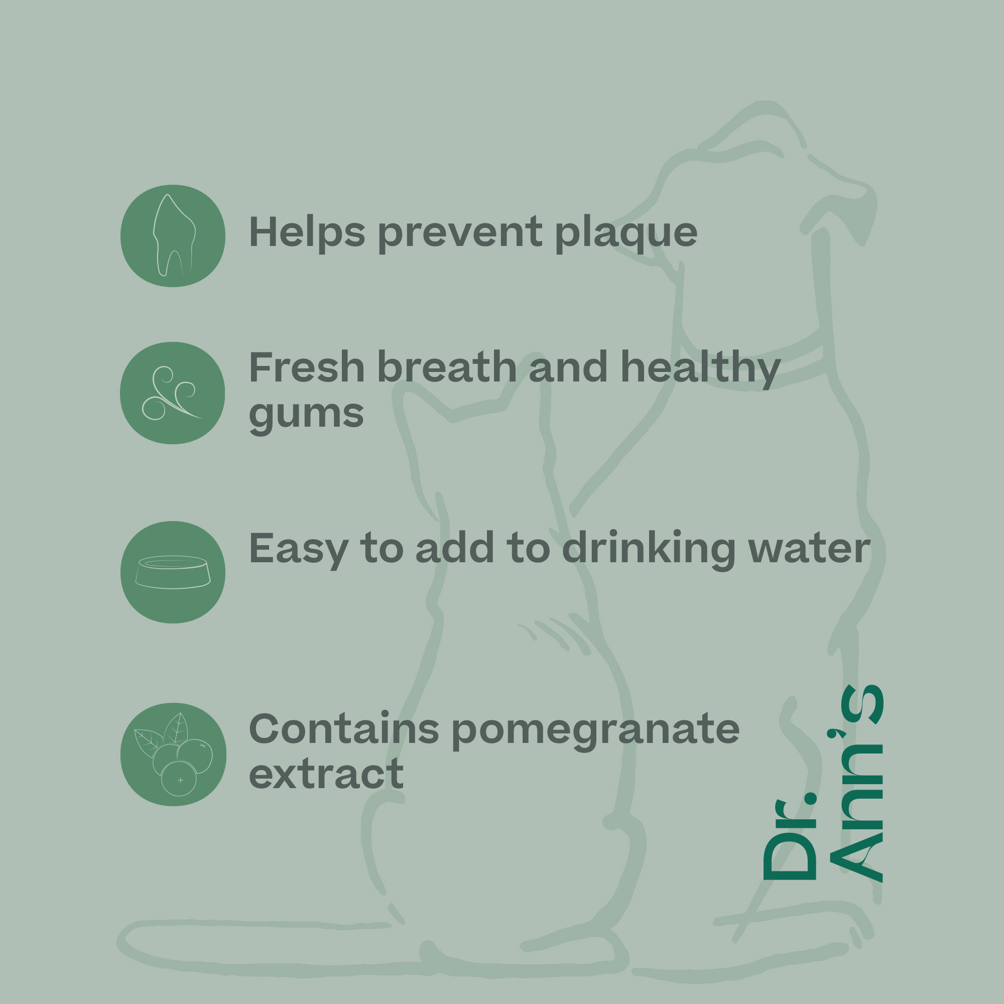 Dr. Ann's Mouth Wash