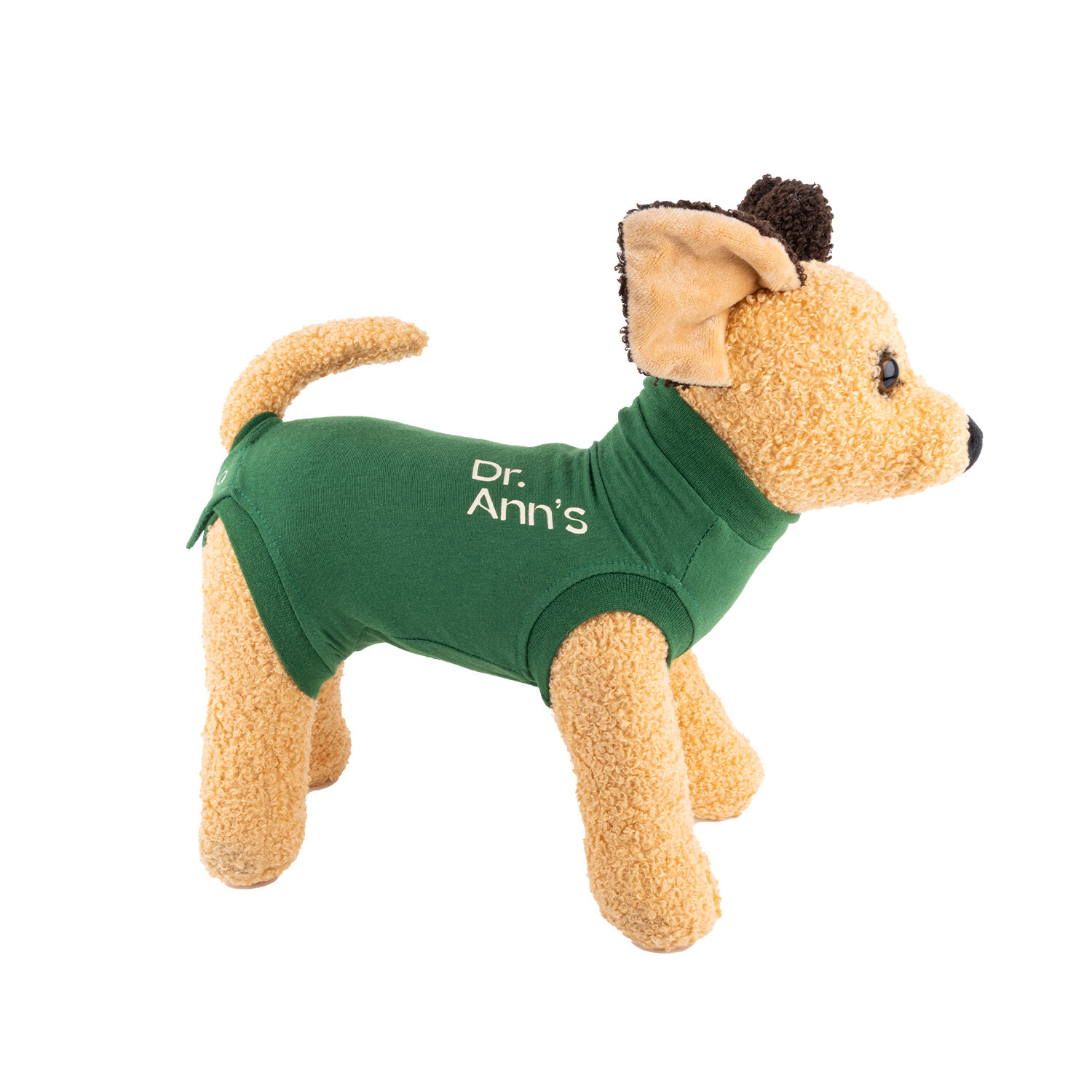 Dr. Ann's Protective Shirt Hund
