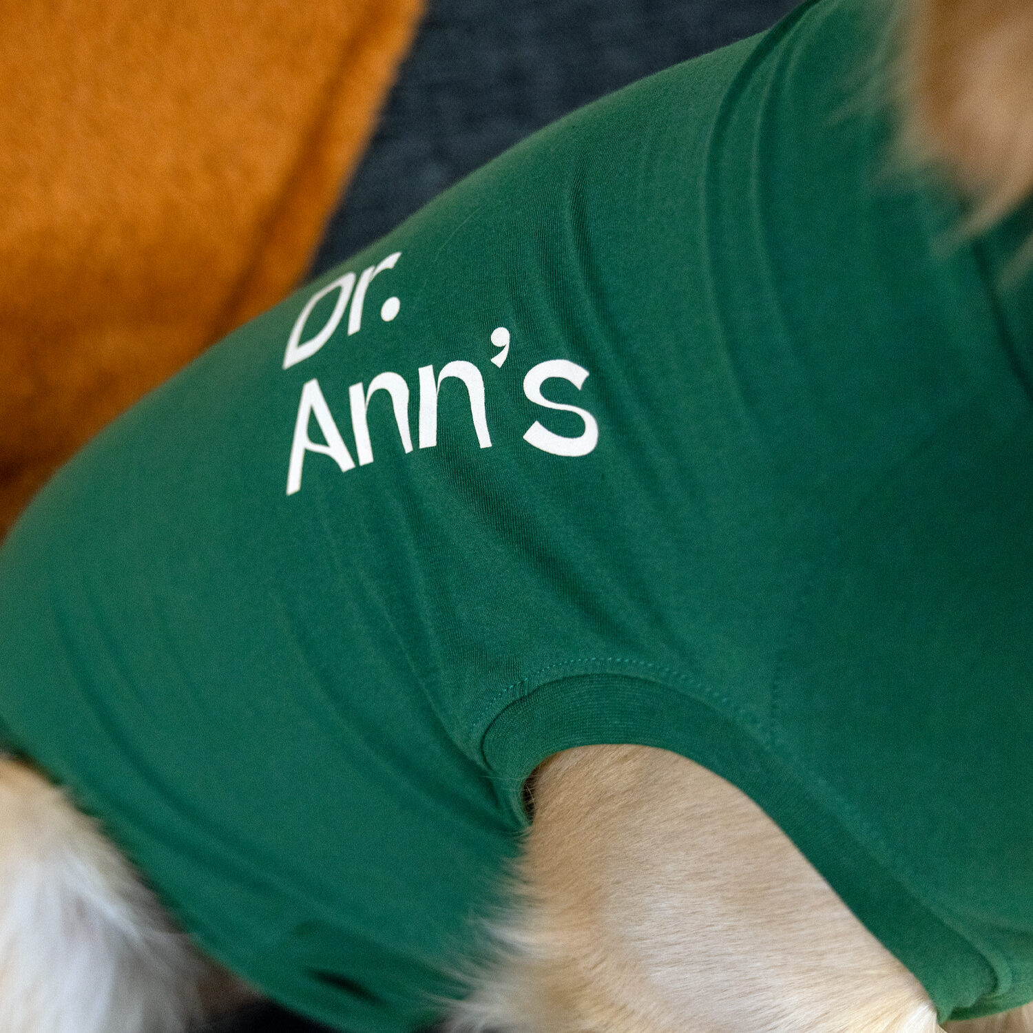 Dr. Ann's Protective Shirt Hund