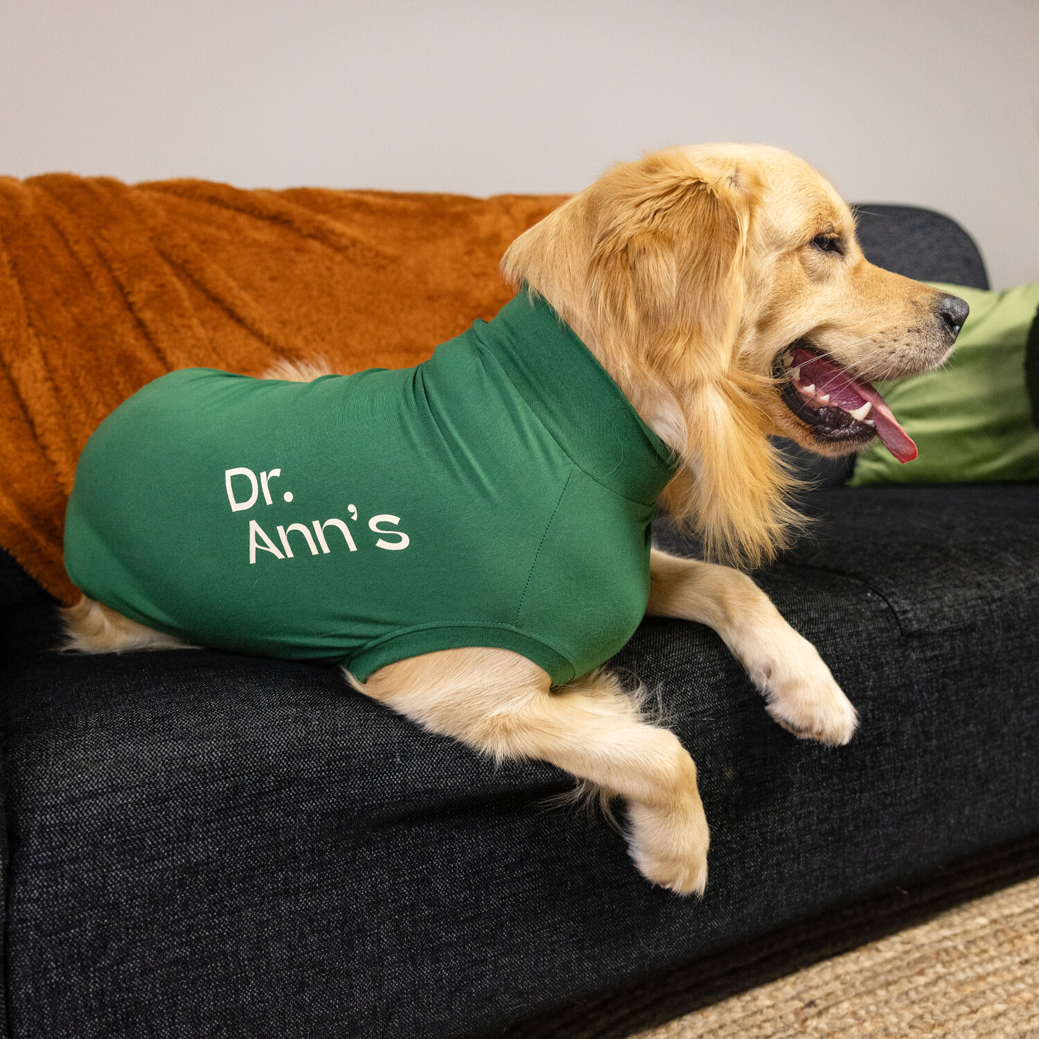 Dr. Ann's Protective Shirt Hund