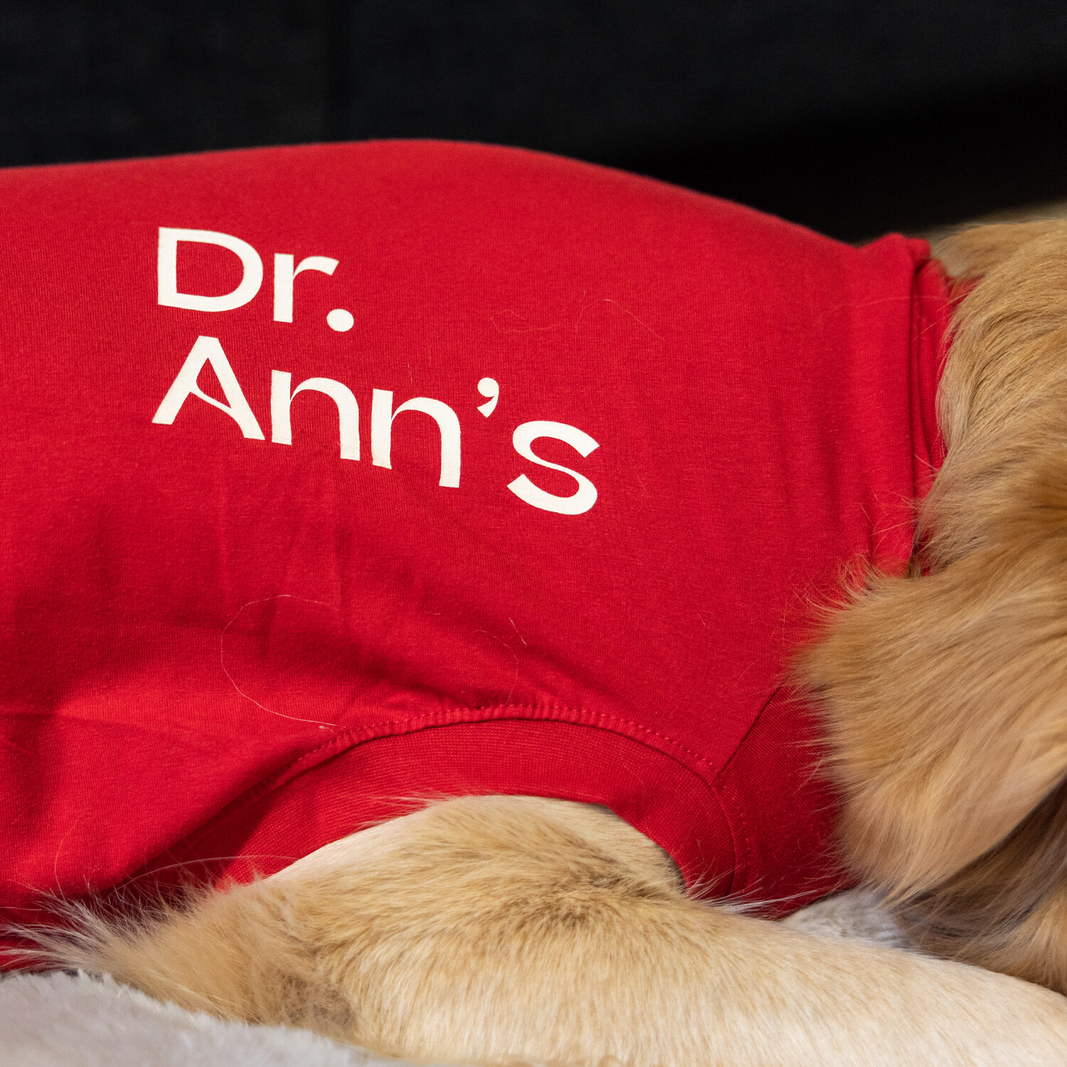 Dr. Ann's Protective Shirt Hund