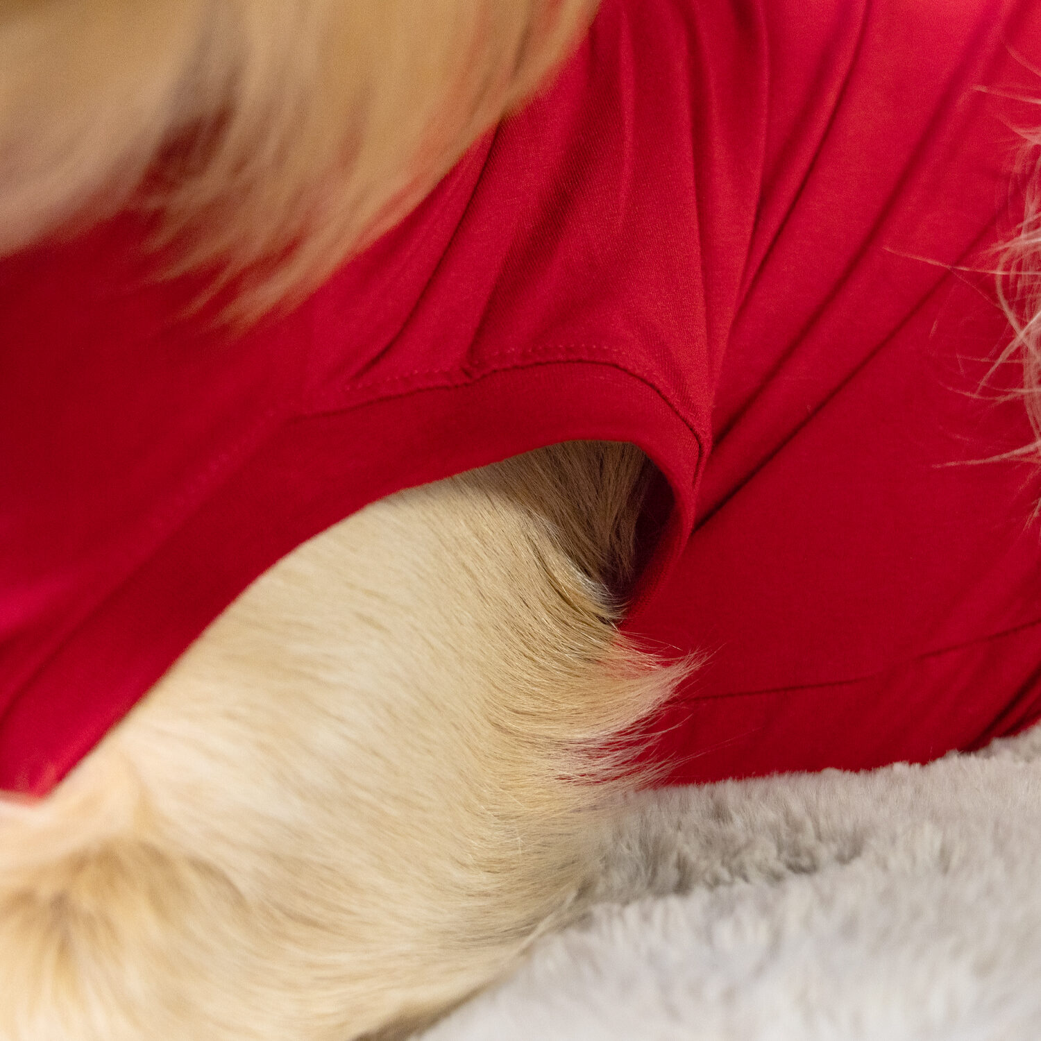 Dr. Ann's Protective Shirt Hund